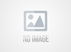 Sensata 森萨塔 P356-1.3G-E1A 工业压力传感器